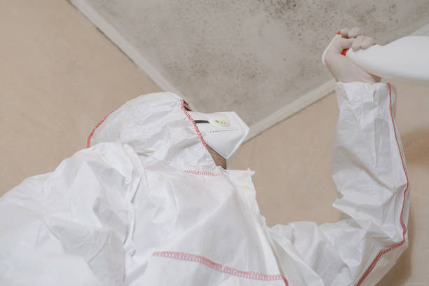Best Crawl Space Mold Removal  in Golden, CO